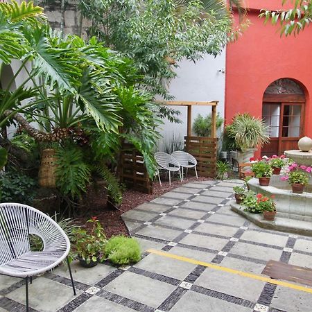 Hotel Trebol Oaxaca Εξωτερικό φωτογραφία
