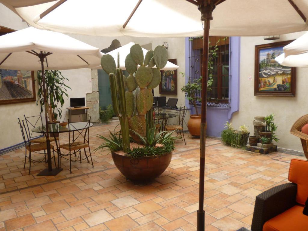 Hotel Trebol Oaxaca Δωμάτιο φωτογραφία