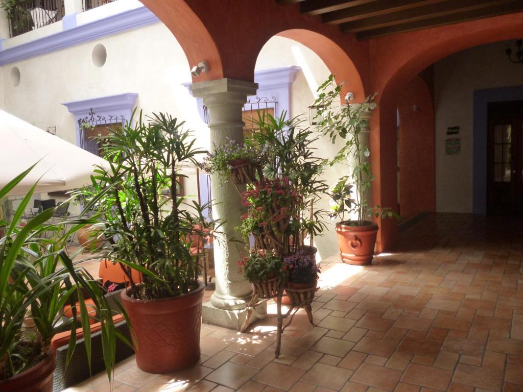 Hotel Trebol Oaxaca Δωμάτιο φωτογραφία